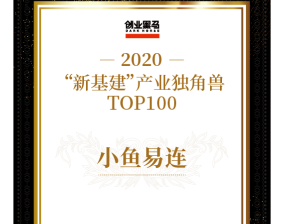 小鱼易连荣膺“新基建”产业独角兽，提供云视频解决方案
