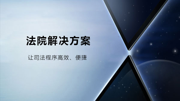 法院解决方案