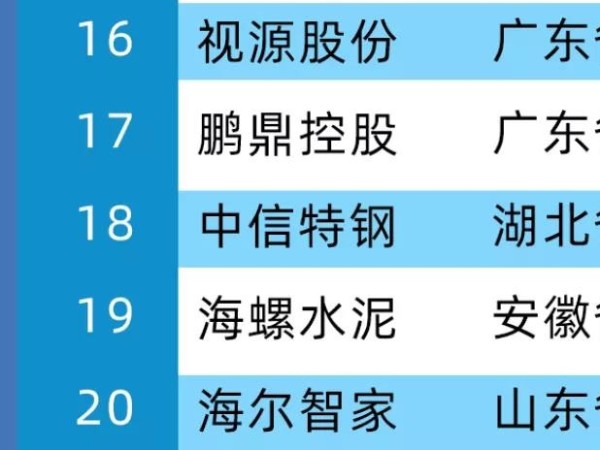 2020年中国制造业价值500强，MAXHUB母公司视源股份位居第16位